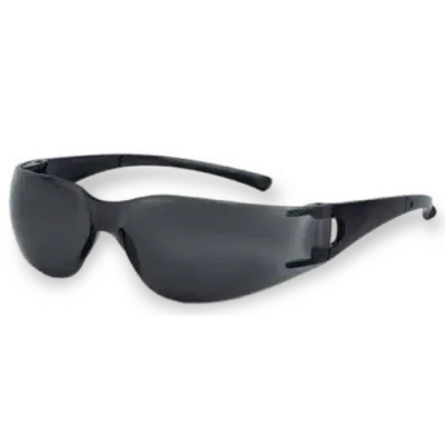 Lentes de Protección V10 Element Essential